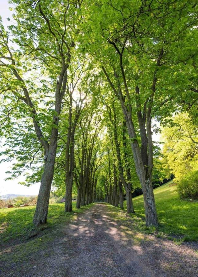Urlaub In Schlossnaehe Artstetten Ngoại thất bức ảnh